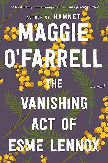 The Vanishing Act Book Review